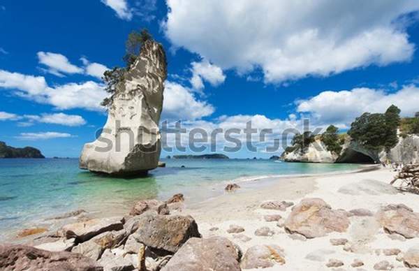  артикул 10057780