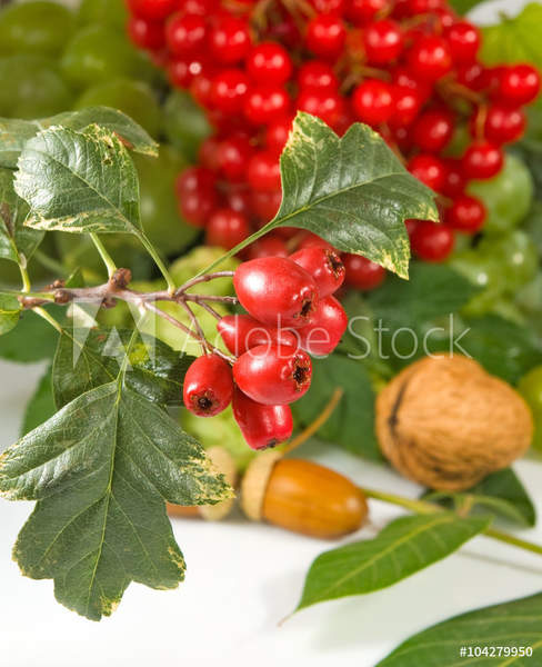  артикул 10057775