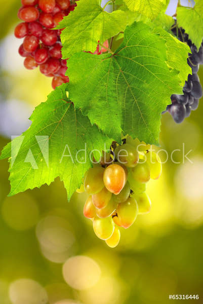  артикул 10057776