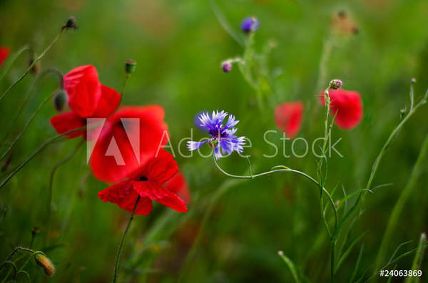  артикул 10057841