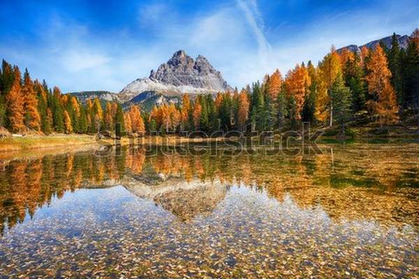  артикул 10057835