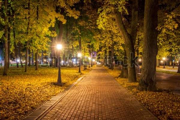  артикул 10057877