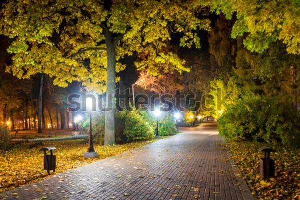  артикул 10057878