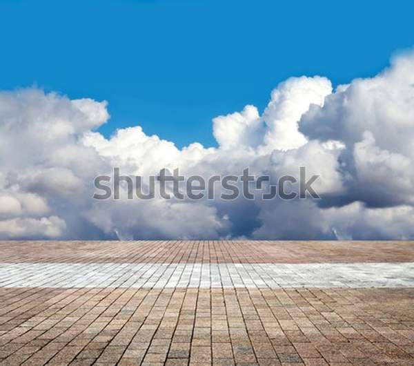  артикул 10058524