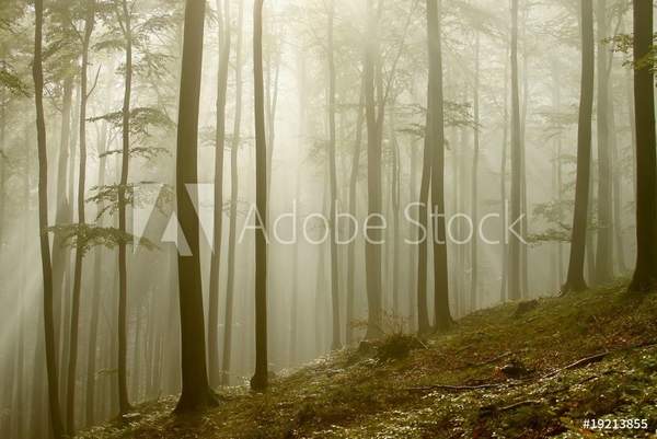  артикул 10058675