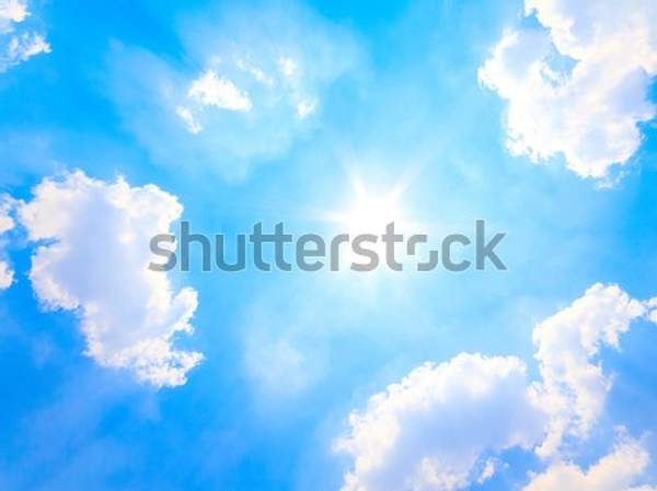  артикул 10058836