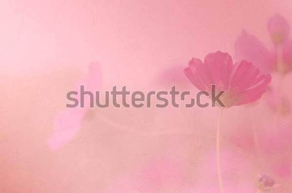  артикул 10058864