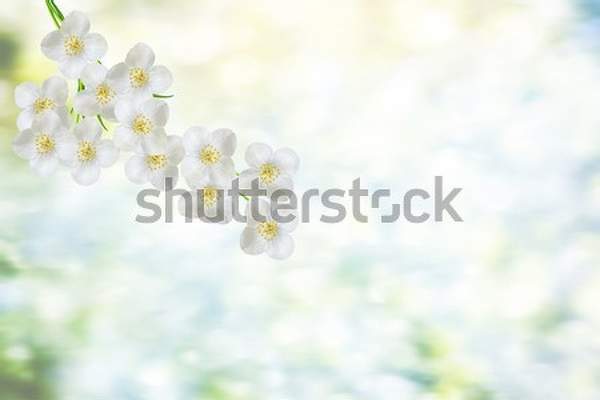  артикул 10059243