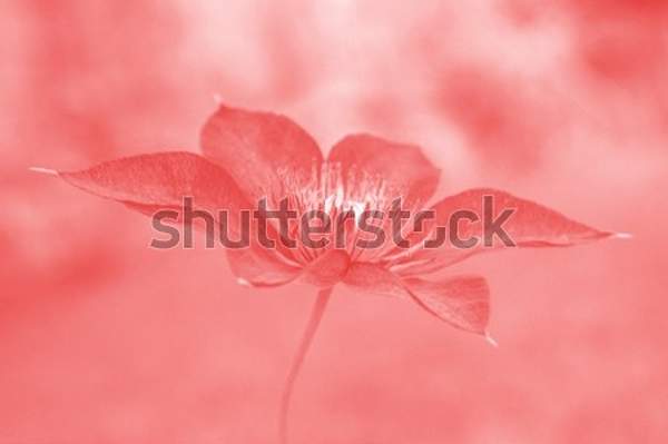  артикул 10059282