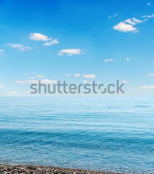  артикул 10059357
