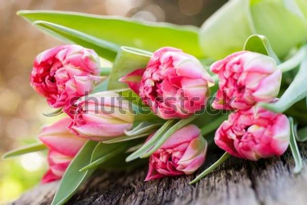  артикул 10059696
