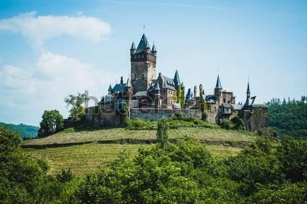  артикул 10060040