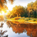 Река в осеннем лесу