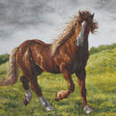 Арт-обои — Рисованная лошадь