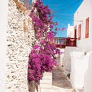 Фотообои - Типичная греческая улочка