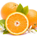 Изображение фотообоев