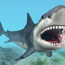 Фотообои с акулой