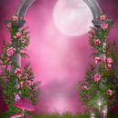 Фотообои с каменной аркой и розами