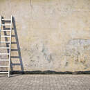 Изображение фотообоев