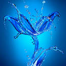 Фотообои - Цветок из воды