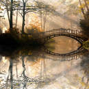 Фотообои со старым мостом в парке