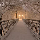 Фотообои - Ночной мост в снегу