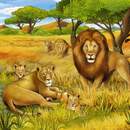 Сюжет со львами "Сафари"