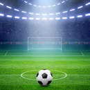 Фотообои - Футбольный стадион