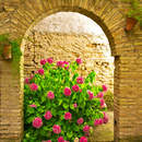 Фотообои с аркой в цветах