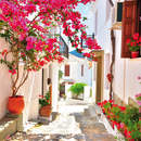 Фотообои - Цветение бугенвиллии на улочке