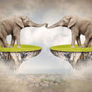 Фотообои на стену со слонами (креативный сюжет)