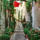 Фотообои с красивым двориком