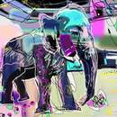 Обои для стен «Слон» — Креативный рисунок