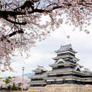 Фотообои - Японский пейзаж