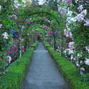 Фотообои - Арка в саду