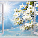 Фотообои с цветами - Красивый вид из окна