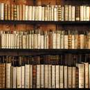 Книжная полка.