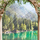 Фотообои на стену арка с видом на лес