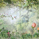 Изображение фотообоев