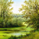 Изображение фотообоев