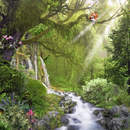 Лесной ручей