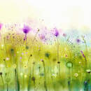 Изображение фотообоев