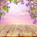 Цветочная арка сирени