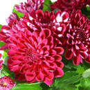 Букет из хризантем