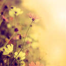 Цветочный арт-дизайн в ретро стиле