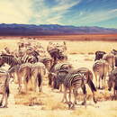 Изображение фотообоев