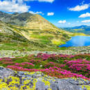 Изображение фотообоев