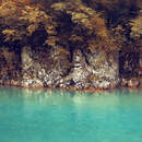 Изображение фотообоев