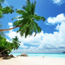 Изображение фотообоев