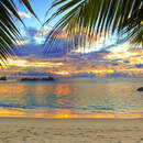 Изображение фотообоев